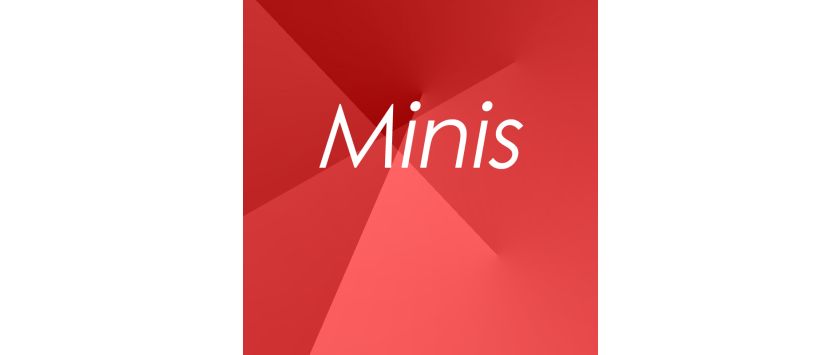 Mini • Lederbücher