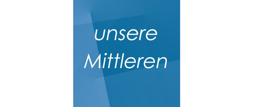 Mittlere • Leder-Fotoalben