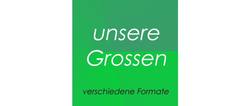 Die Grossen • Buchhüllen