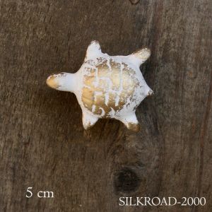 Serie TIER: Schildkröte