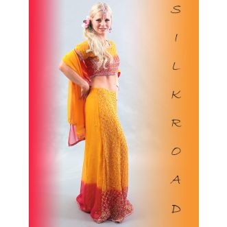 Lengha Choli Set - DAWA